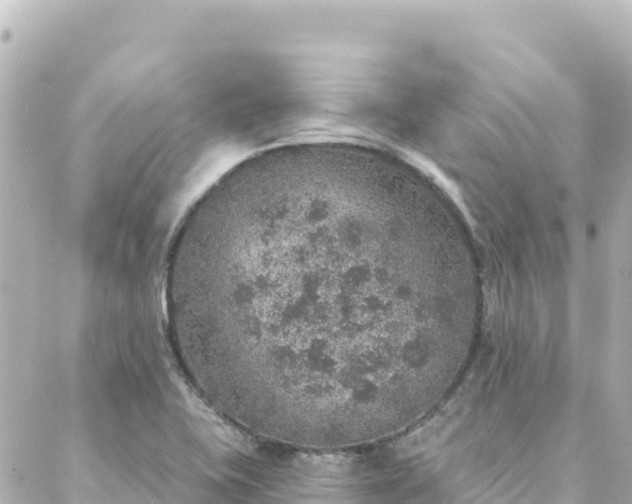 X0000088431415200705291513