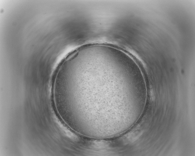 X0000088431416200705291513