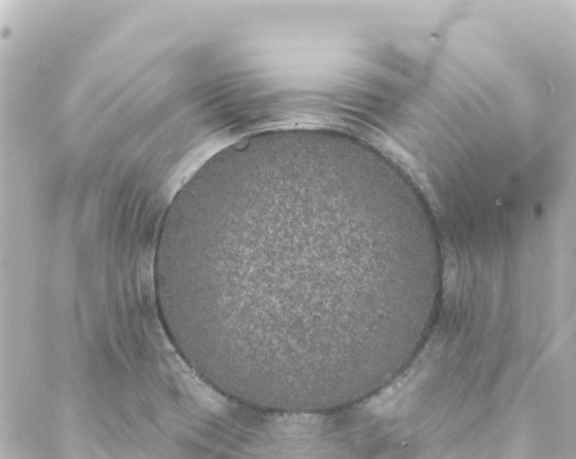 X0000088431417200705291513