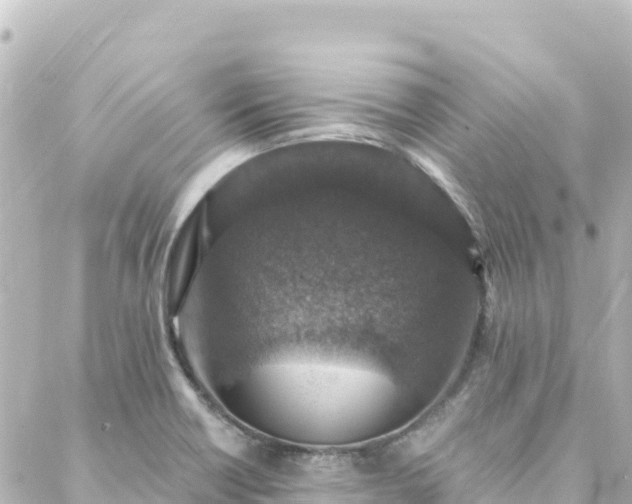 X0000088431418200705291513