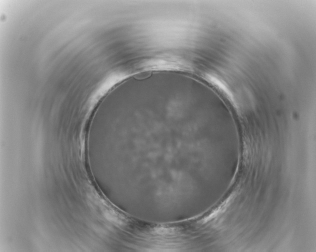 X0000088431419200705291513