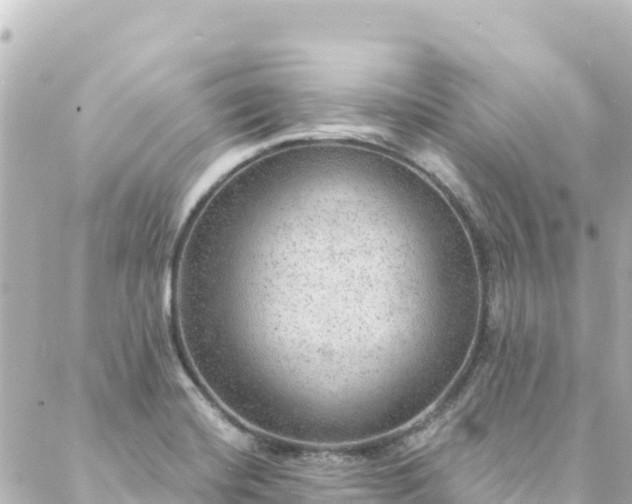 X0000088431420200705291514