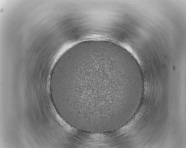 X0000088431421200705291514