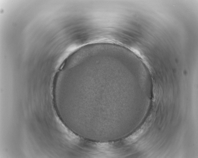 X0000088431422200705291514