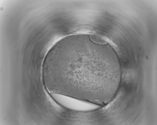 X0000088431423200705291514