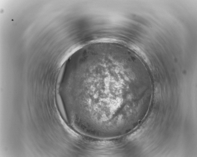 X0000088431425200705291514