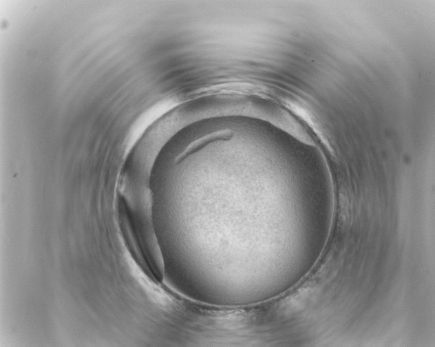 X0000088431426200705291514