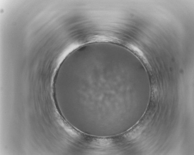 X0000088431427200705291514