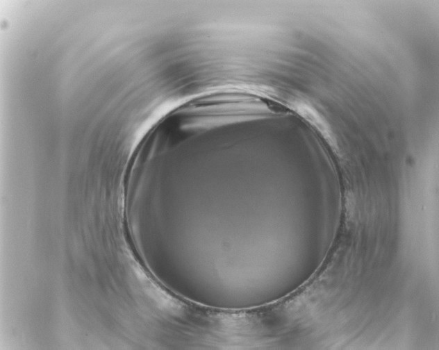 X0000088431428200705291514