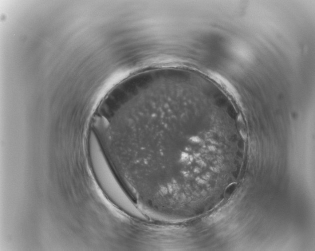 X0000088431429200705291514