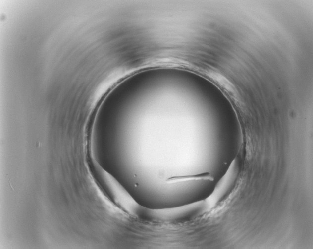 X0000088431430200705291514