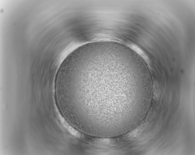 X0000088431431200705291514