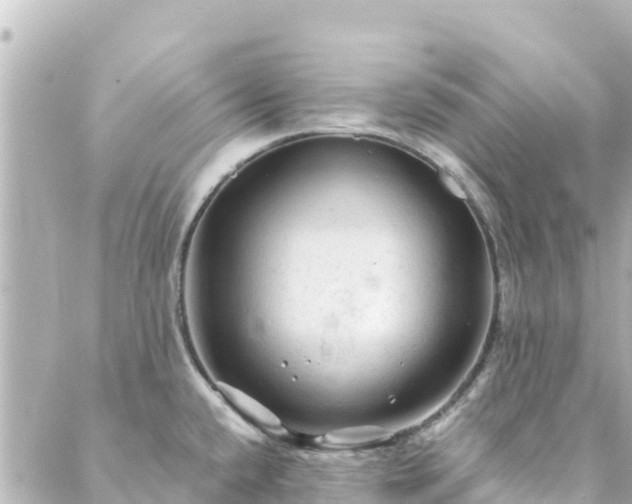 X0000088431432200705291514