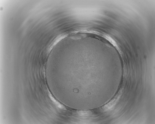 X0000088431433200705291514