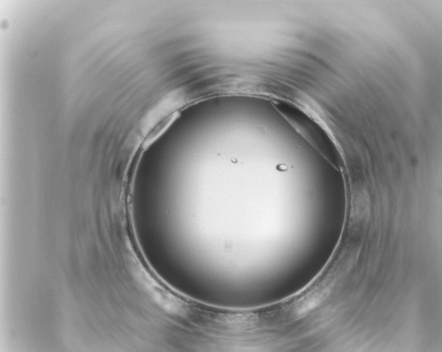 X0000088431434200705291514