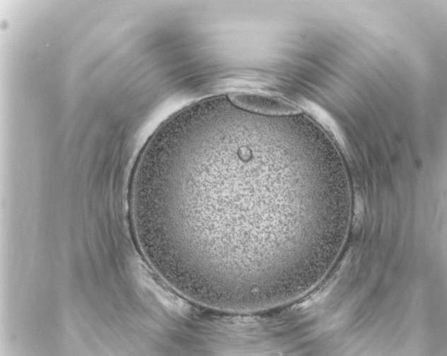 X0000088431435200705291514