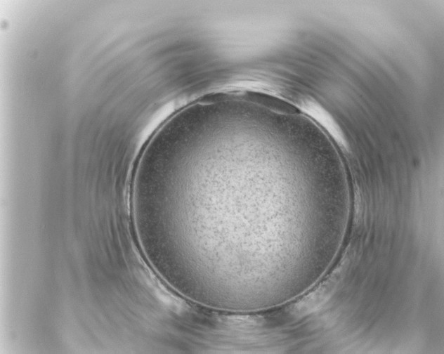 X0000088431436200705291514