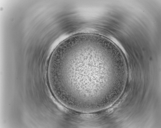 X0000088431437200705291514