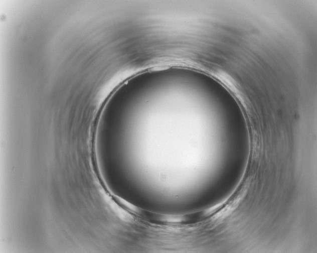 X0000088431438200705291514