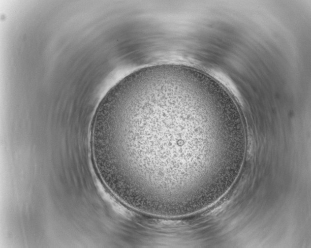 X0000088431439200705291514