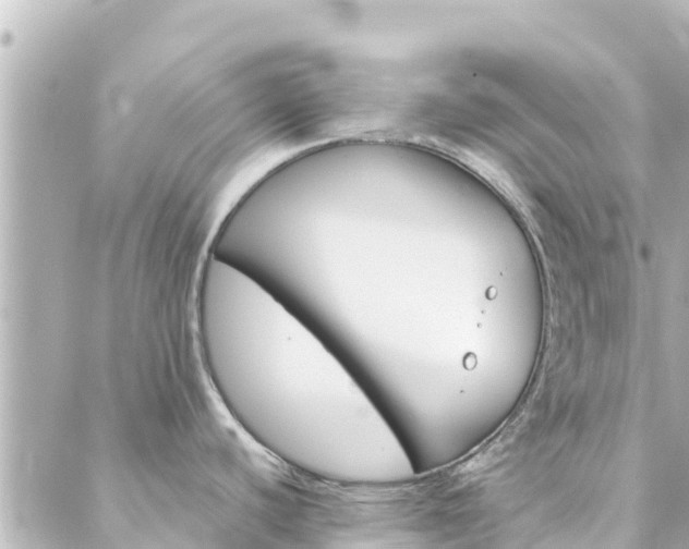 X0000088431440200705291514