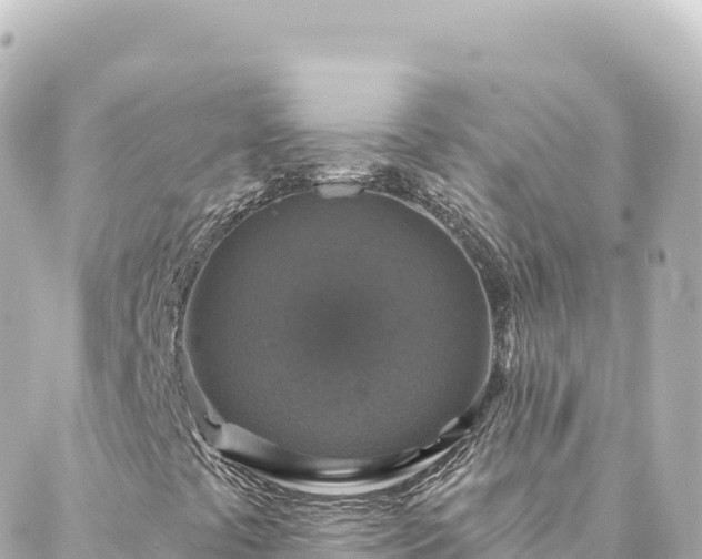 X0000088431441200705291513