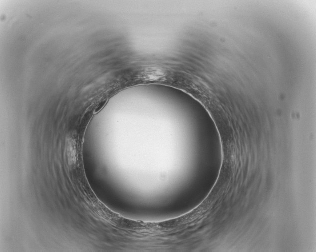 X0000088431442200705291513