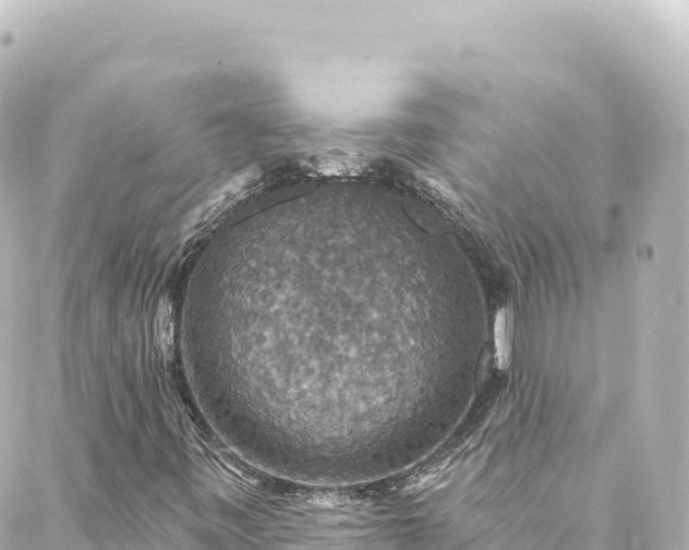 X0000088431443200705291513