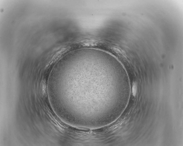 X0000088431444200705291513