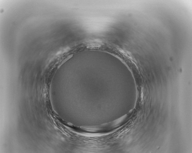 X0000088431445200705291513