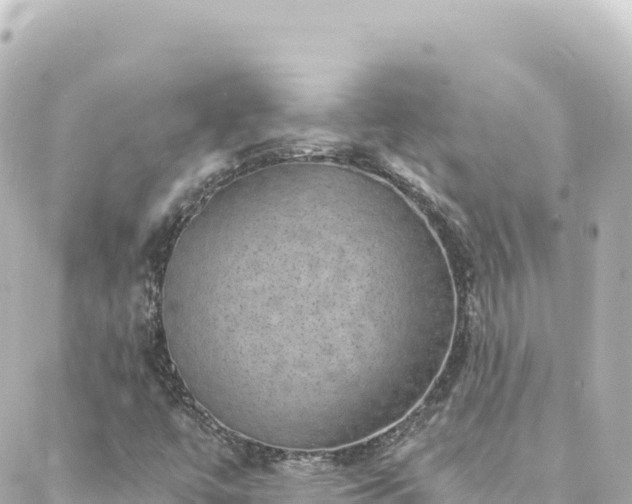 X0000088431447200705291513