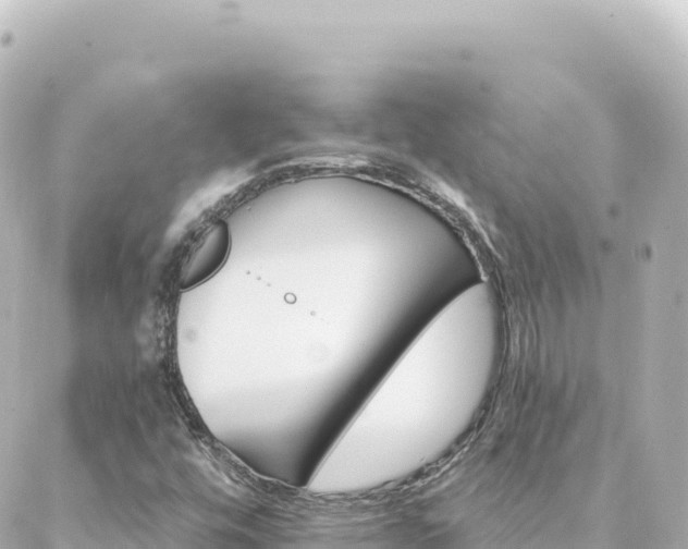 X0000088431448200705291513