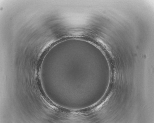 X0000088431449200705291513