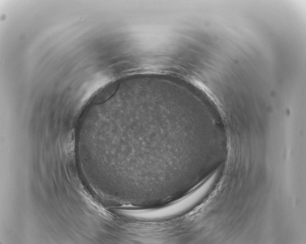 X0000088431450200705291513