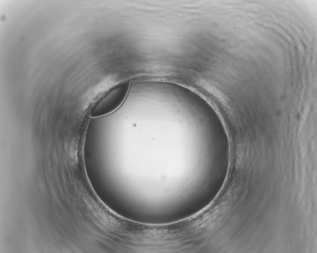 X0000088431451200705291513