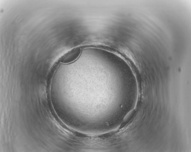 X0000088431452200705291513