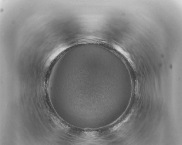 X0000088431453200705291513