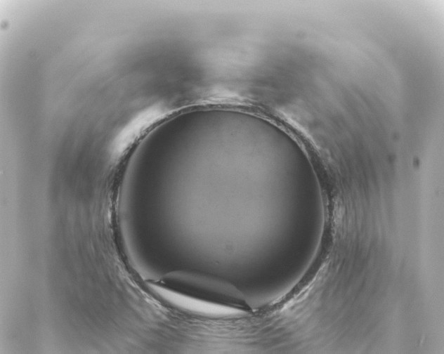 X0000088431455200705291513