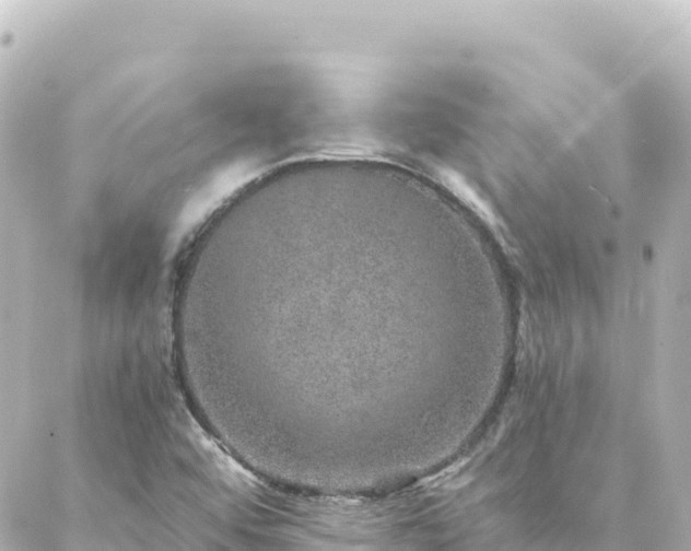 X0000088431456200705291513