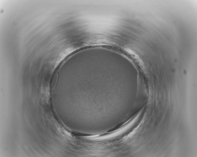 X0000088431457200705291513