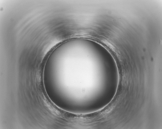 X0000088431458200705291513