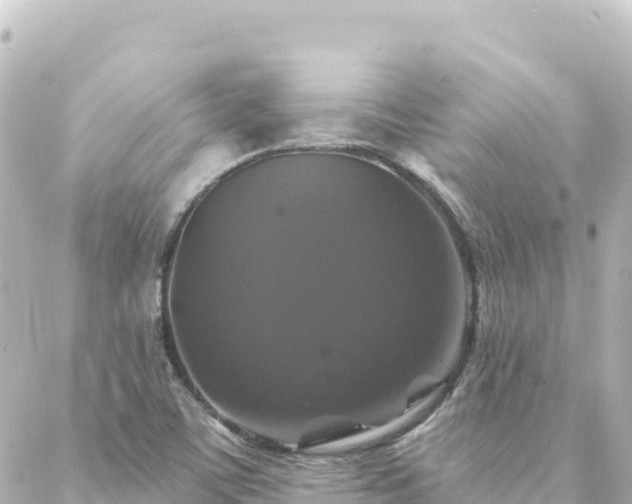 X0000088431459200705291513