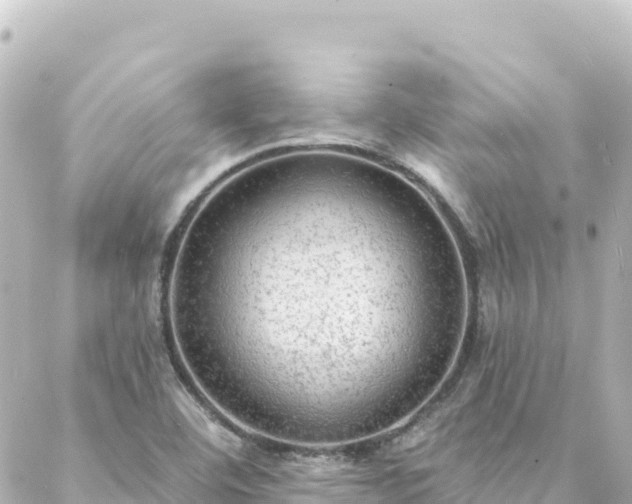 X0000088431460200705291513