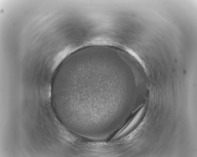 X0000088431461200705291513