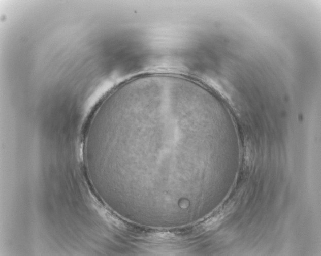 X0000088431462200705291513