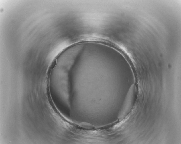 X0000088431463200705291513