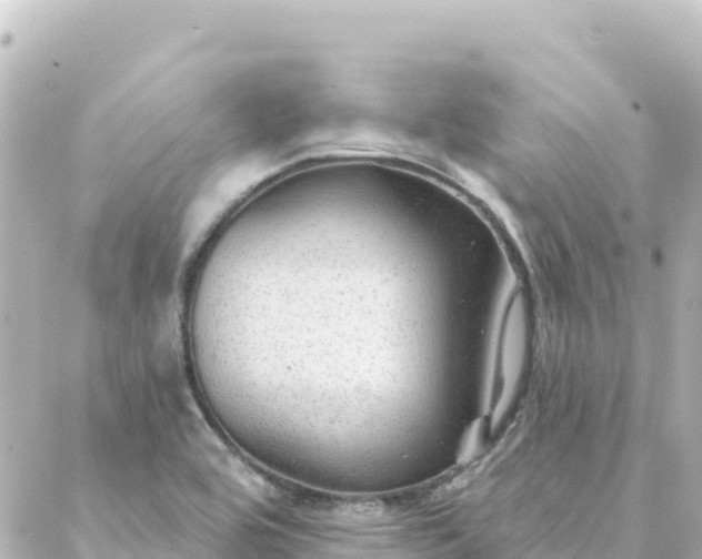 X0000088431464200705291513