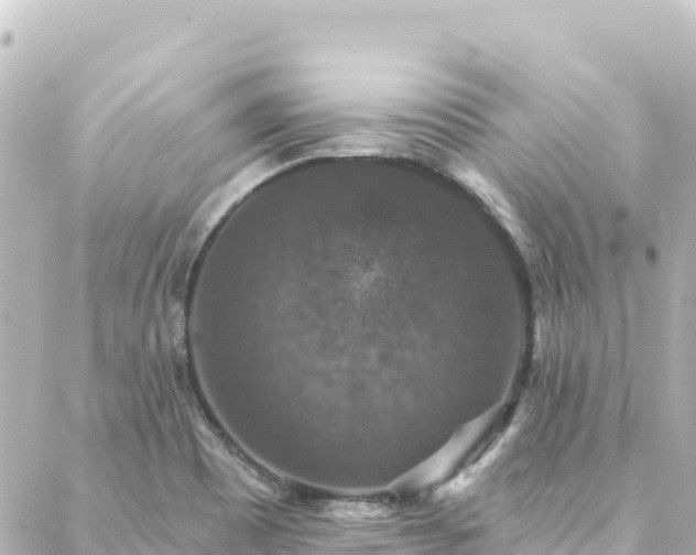 X0000088431465200705291513