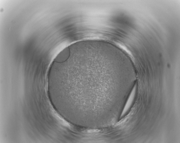 X0000088431467200705291513