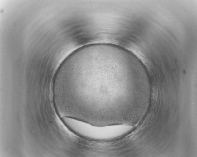 X0000088431468200705291513